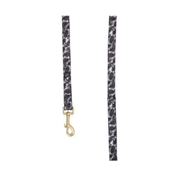 Petsleisure Pet Leashes